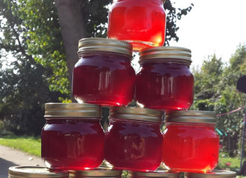 jam-jars.jpg