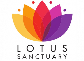 lotus-1-3.jpg