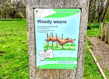 woody-weave.jpg