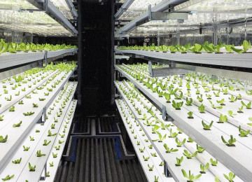3063275-poster-p-1-take-a-3-d-tour-of-a-vertical-farm-packed-inside-a-shipping-container.jpg
