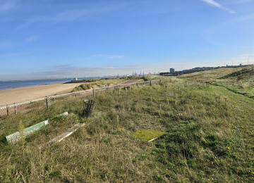 hole-7.jpg