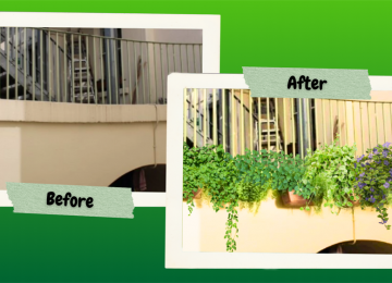 outdoor-garden-1-3.png