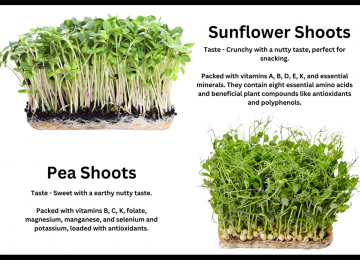 the-best-microgreens-to-get-started-2.png