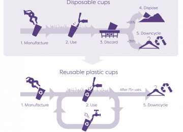 cup-life-cycle-comparison.png