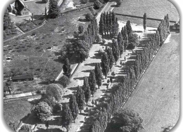 1952-extract-cemetery.jpg