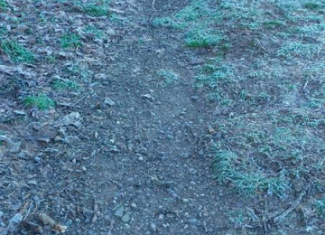 path-now-1.jpg