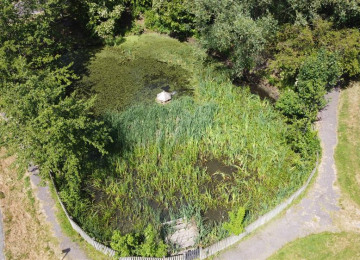 aerial-pond-photo.jpg