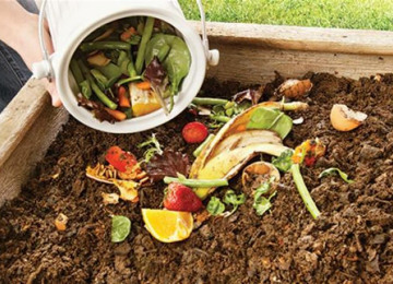 compost-bucket.jpg