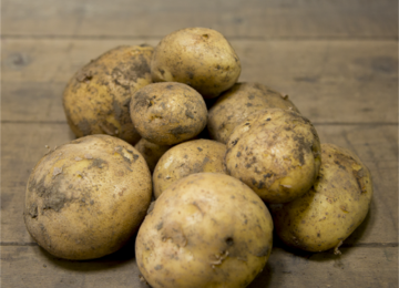 potatoes-500-1-u-6-a-5678.png