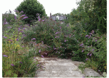FGCG-site-visit-main-2.gif