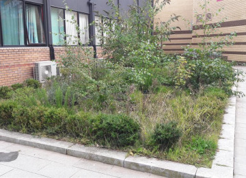 outdoor-space.jpg