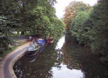 100_1352.gif