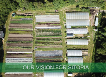 our-vision-for-sitopia.jpg