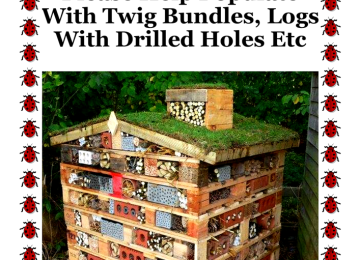 bug-hotel-ad.png