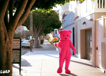 the-pink-bear-for-a-loved-one-copy.jpg
