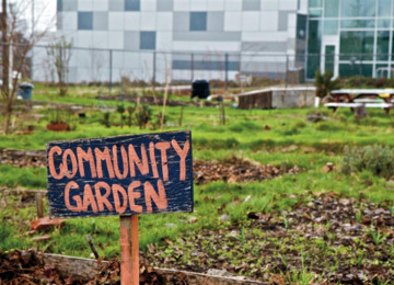 community-garden.jpg