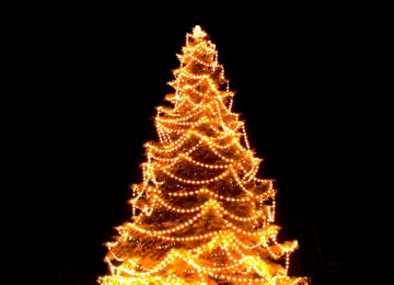 st-albans-christmas-tree-2.jpg