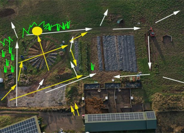 garden-area.jpg