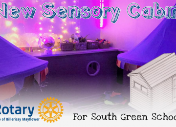 sensory-cabin-graphic.jpg