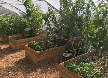 cultivate-london-salopian-kitchen-garden-august-2016-1024.jpeg