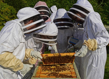 170503-st-hildas-bee-check-hive-tool-smoker-super-apiary-3-c.jpg