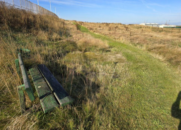cross-country-trail.jpg