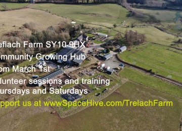 treflach-final-slide.jpg