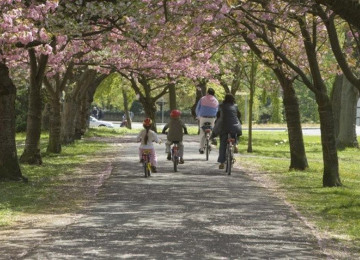 family-cycling-park-apple-blossom.jpg