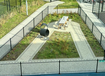 sensory-garden-now.jpg