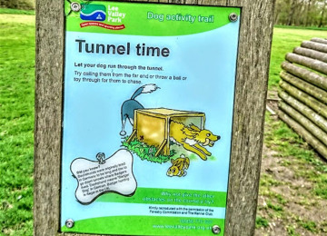 tunnel-time.jpg
