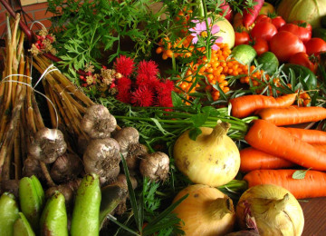 ecologically-grown-vegetables.jpg