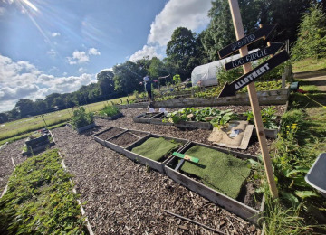 garden.jpg