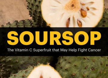 soursop-article-meme.jpg