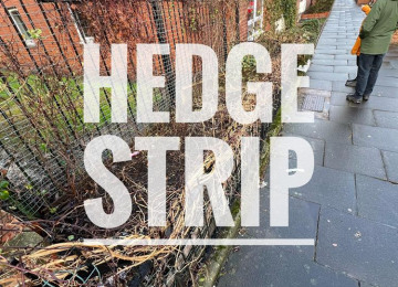 04-hedge-strip.jpg