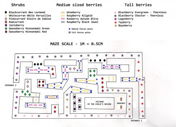 maze-scale-with-pats-in-good.jpg