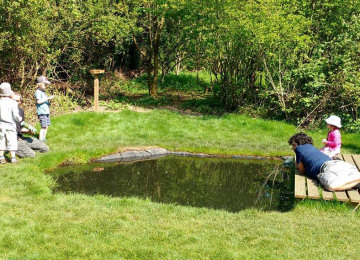 wbp-pond.jpg