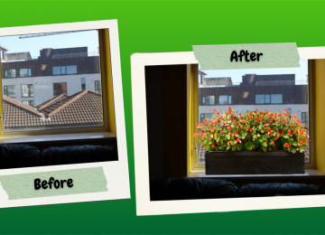 internal-window-box-1.png