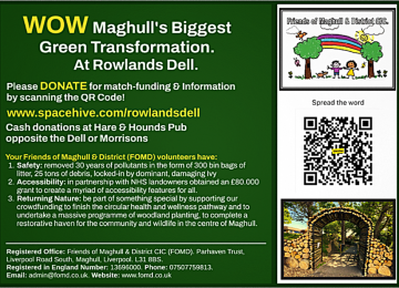 flyer.png