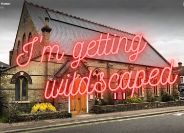 wildscaped-church.png