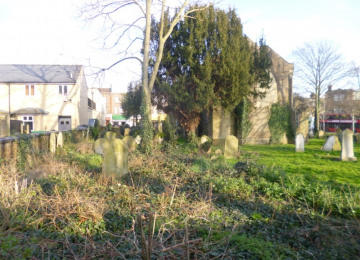 The Kings Garden