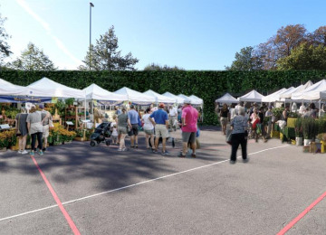 A Green Space at St Mary's Open to All