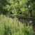 River-Friendly Farming at Fordhall Farm