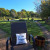 Hedgerow project@ The Eco Therapy Garden