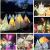 Stanningley Park Lantern Parade