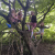 It's great outdoors in LCR 