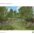 A Centenary Rose Garden for the future