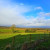 Community Orchard at Blossom Barns