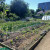 Phoenix Farm: Growing Community Roots