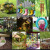 PTA Sensory Garden and Outdoor Classroom