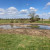 Wonderful Wetland - The Carrs, Wilmslow